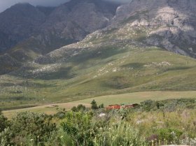 Our Breedekloof Neighbors