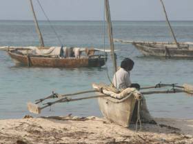 Zanzibar (Tanzania) & Pemba Islands