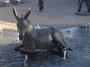 horse