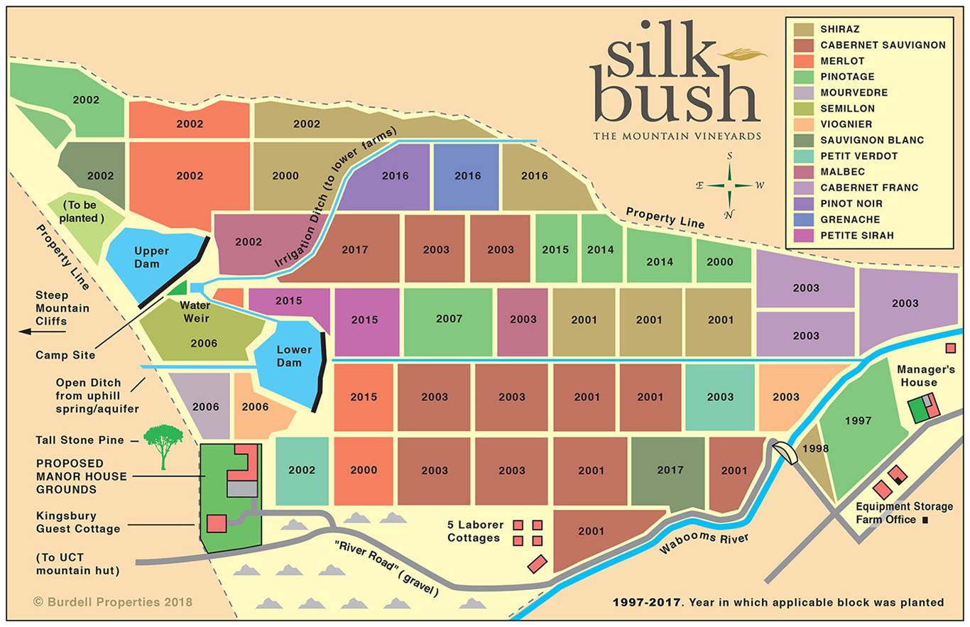 Graphical map of vineyard blocks at Silkbush
